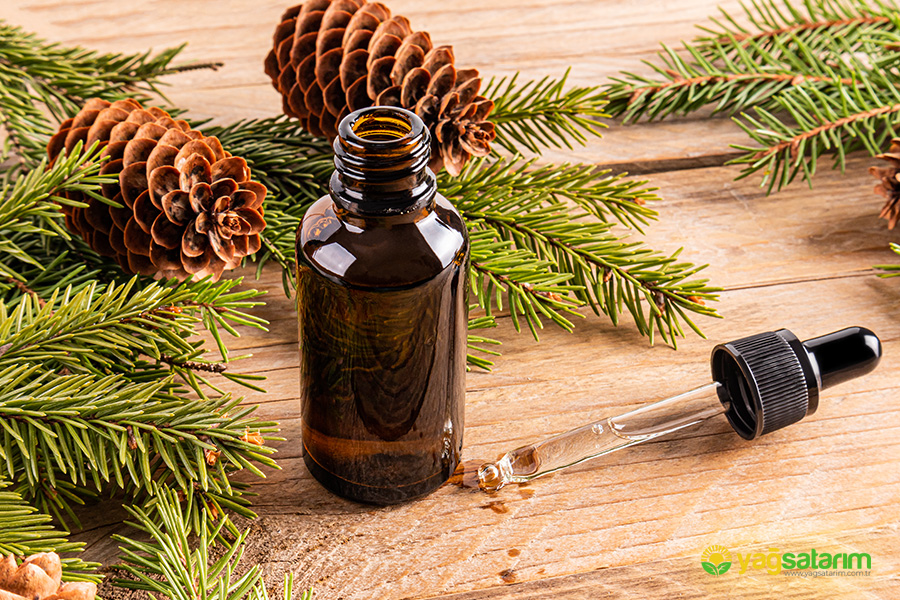 yagsatarim.com.tr - ÇAM UÇUCU YAĞI 10 ML