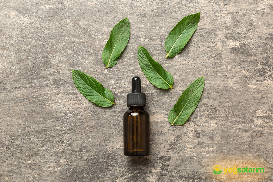 yagsatarim.com.tr - İNGİLİZ NANESİ UÇUCU YAĞI 10 ML