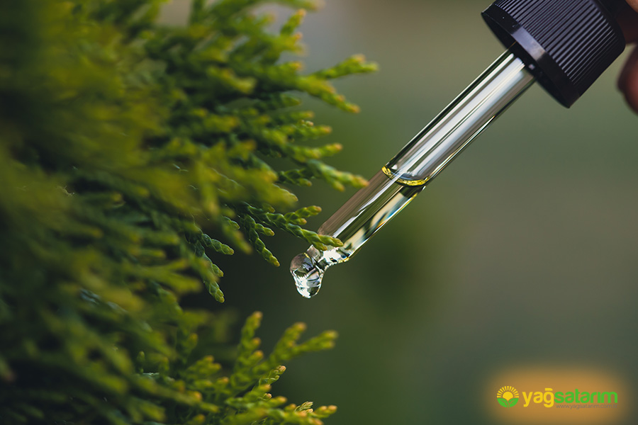 yagsatarim.com.tr - SEDİR UÇUCU YAĞI 10 ML