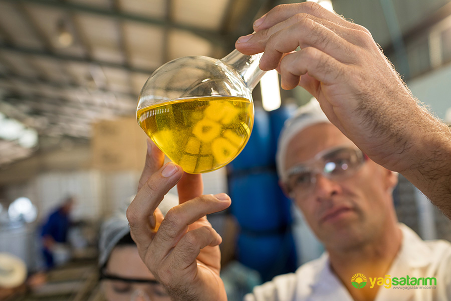 yagsatarim.com.tr - ZEYTİNYAĞI